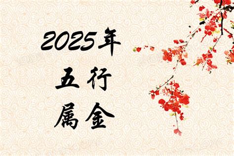 2025五行属什么